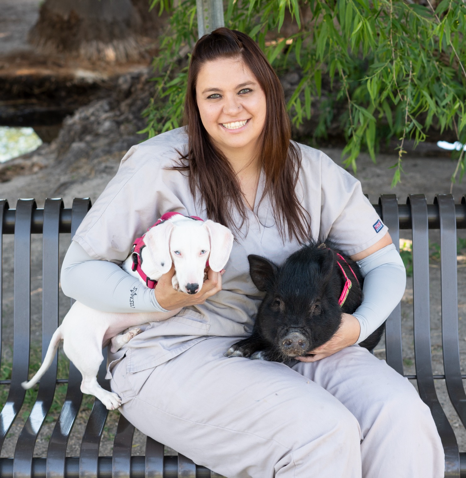 Veterinarian In Tucson, AZ 85719 | Acacia Animal Hospital