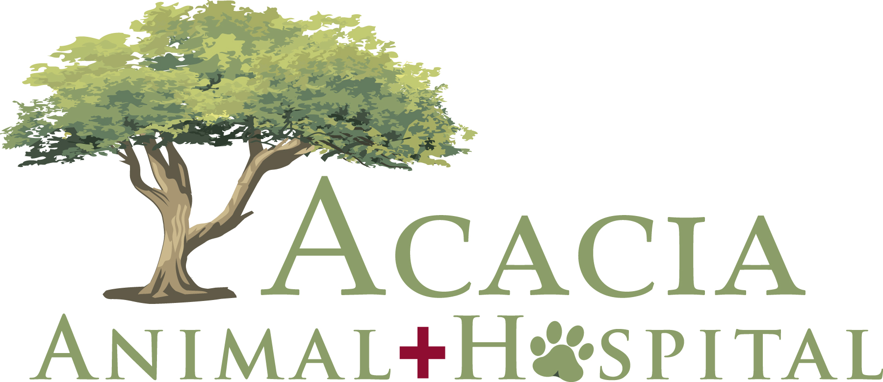 Acacia Animal Hospital: Best Vet Hospital In Tucson, AZ