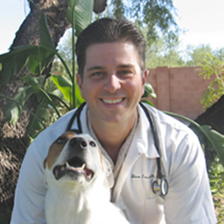 Veterinarian In Tucson, AZ 85719 | Acacia Animal Hospital