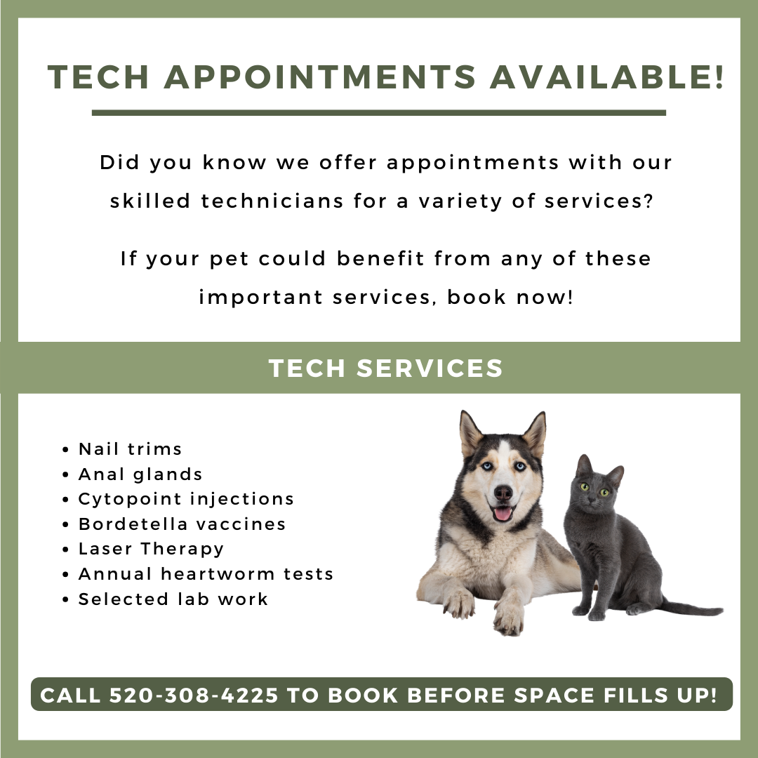 Tech Appointments