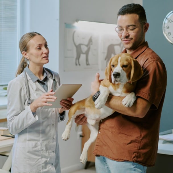 Visiting Veterinary Clinic for Dog's Health Checkup